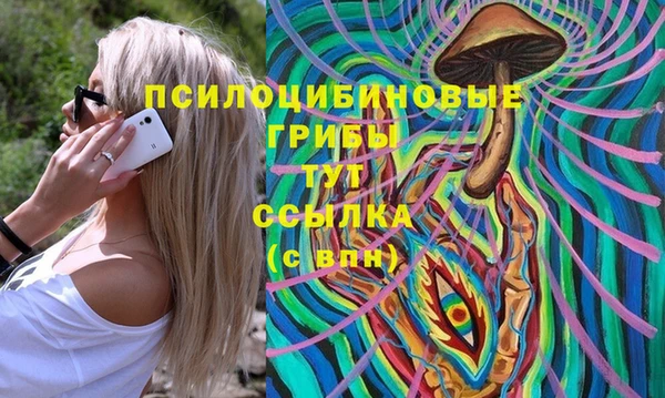сатива Алексин