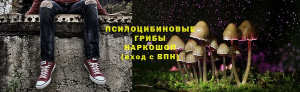 сатива Алексин